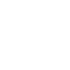 Eagle Eagle Head