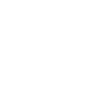 Renards Renards