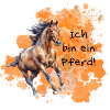 Ich bin ein Pferd!
