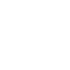 Crâne Viking Odin