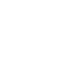 King Skull Skeleton Crown King