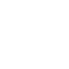 Pirate Skull