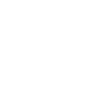 Chief Skull