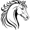 Hevosen kuvitus