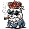 Cool Dog