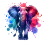 Sumatran Elephant