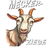 COMPLAINING GOAT