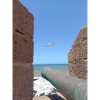 Winged Freedom over the Ocean