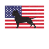 Cadeaux American Bully