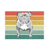 Cadeaux American Bully
