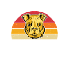 Cadeaux American Bully