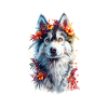 Husky Friend