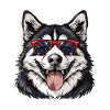 Husky d’Amérique