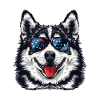 Husky d’Amérique