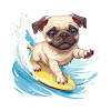 Surf bouledogue