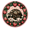Schildkröte und Erdbeeren
