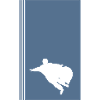Wingsuit Glider