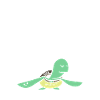 Turtle Sea Turtle Gift