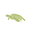 Turtle Sea Turtle Gift
