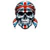 Crâne Rockn Roll