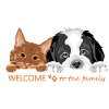 Chat roux et chien Saint-Bernard