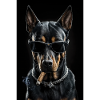 Don Doggo