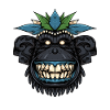 Tiki Chimpanzee