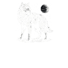 Wolf Mond Wildtier