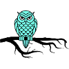 Nightowl 01