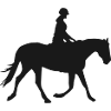 Rider Horse