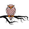 Nightowl 02