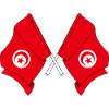 Two flags Tunisia