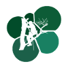 Climbers Tree Climbing