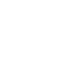 Renards Renards