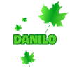 Danilo as Fortwirt