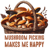 Mushroom picking makes me happy