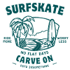 Surfskate Carve on