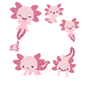 Axolotl