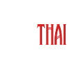 Muay Thai Fighter