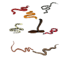 Snake Snake Collector
