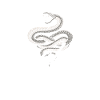 Snake Therapy