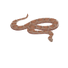 Snake 3 people