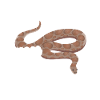 Serpent