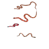 Girl Snake