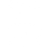 White Dragon