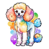 Caniche Aquarelles
