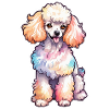 Aquarelles de caniche
