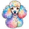 Caniche Aquarelles