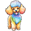 Aquarelles de caniche