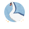 Cygnes Cygnes Swan Lover Cadeau